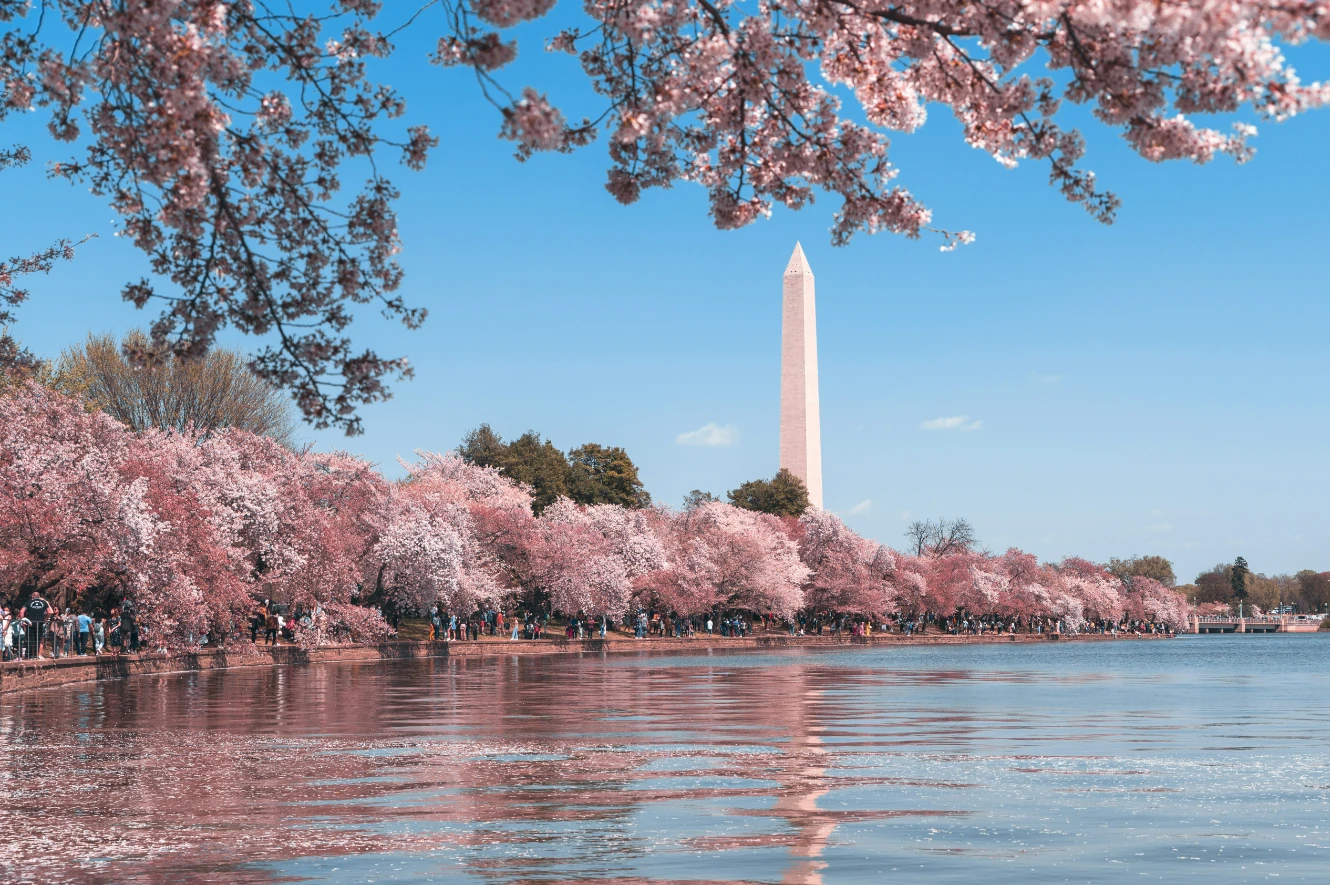 Material Delivery In Washington DC